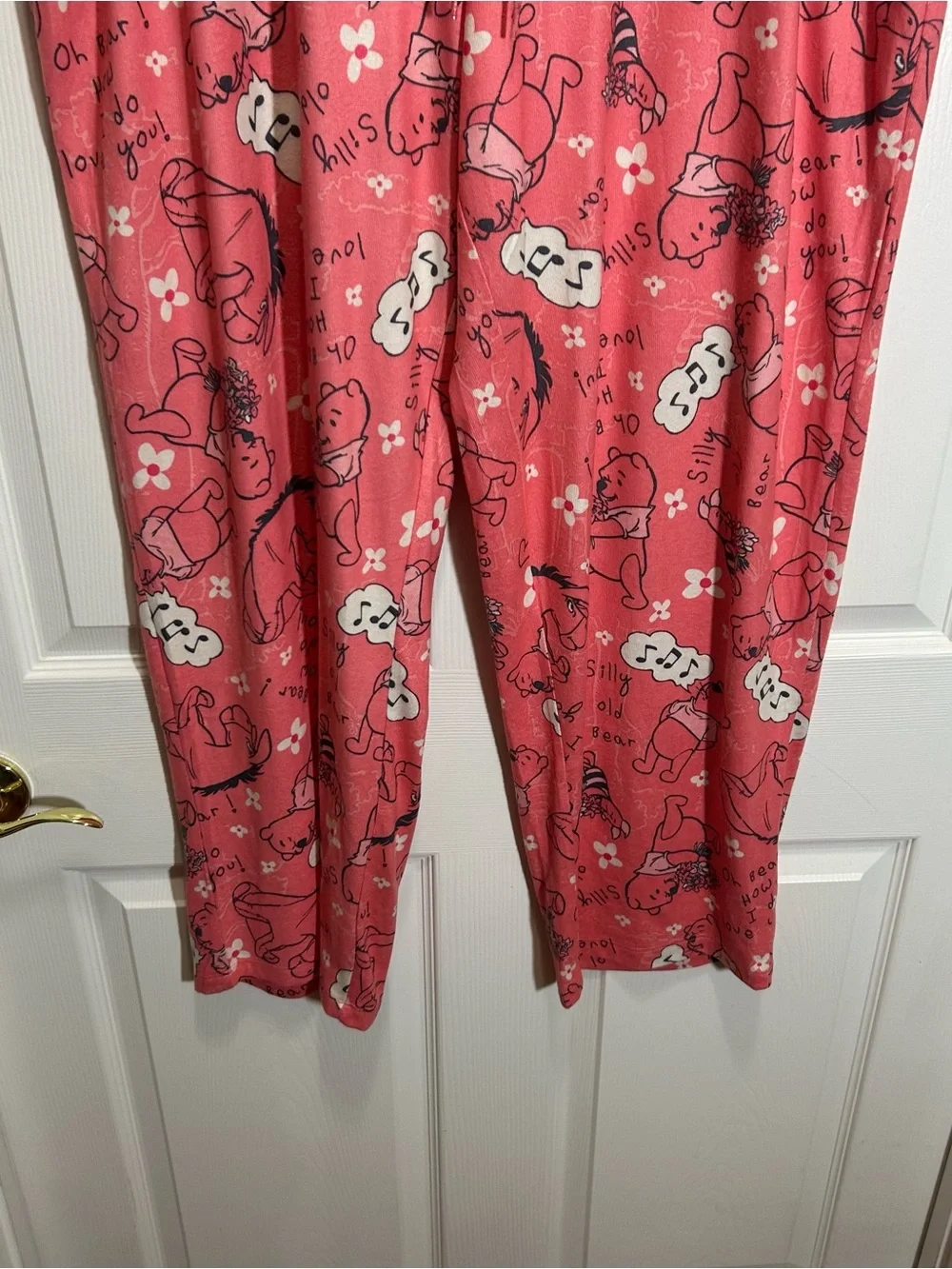 Disney Winnie the Pooh Coral Pajama Pants - Picture 3 of 5